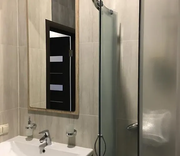 Loft в жк срібний дім 公寓 特鲁斯卡韦茨
